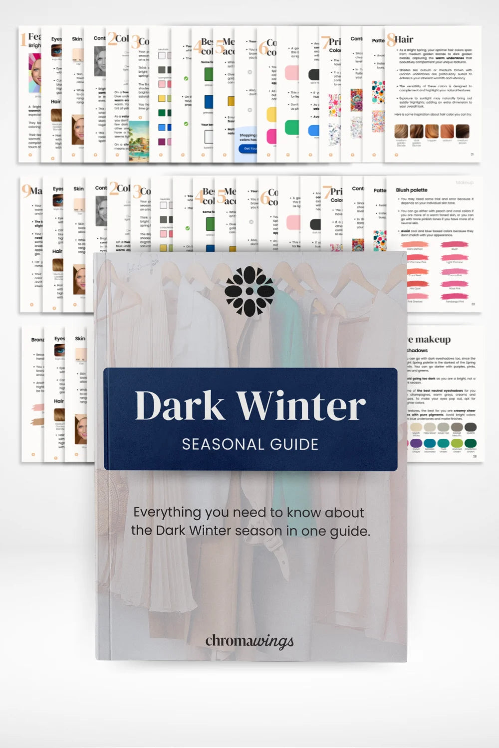 Dark Winter Guide