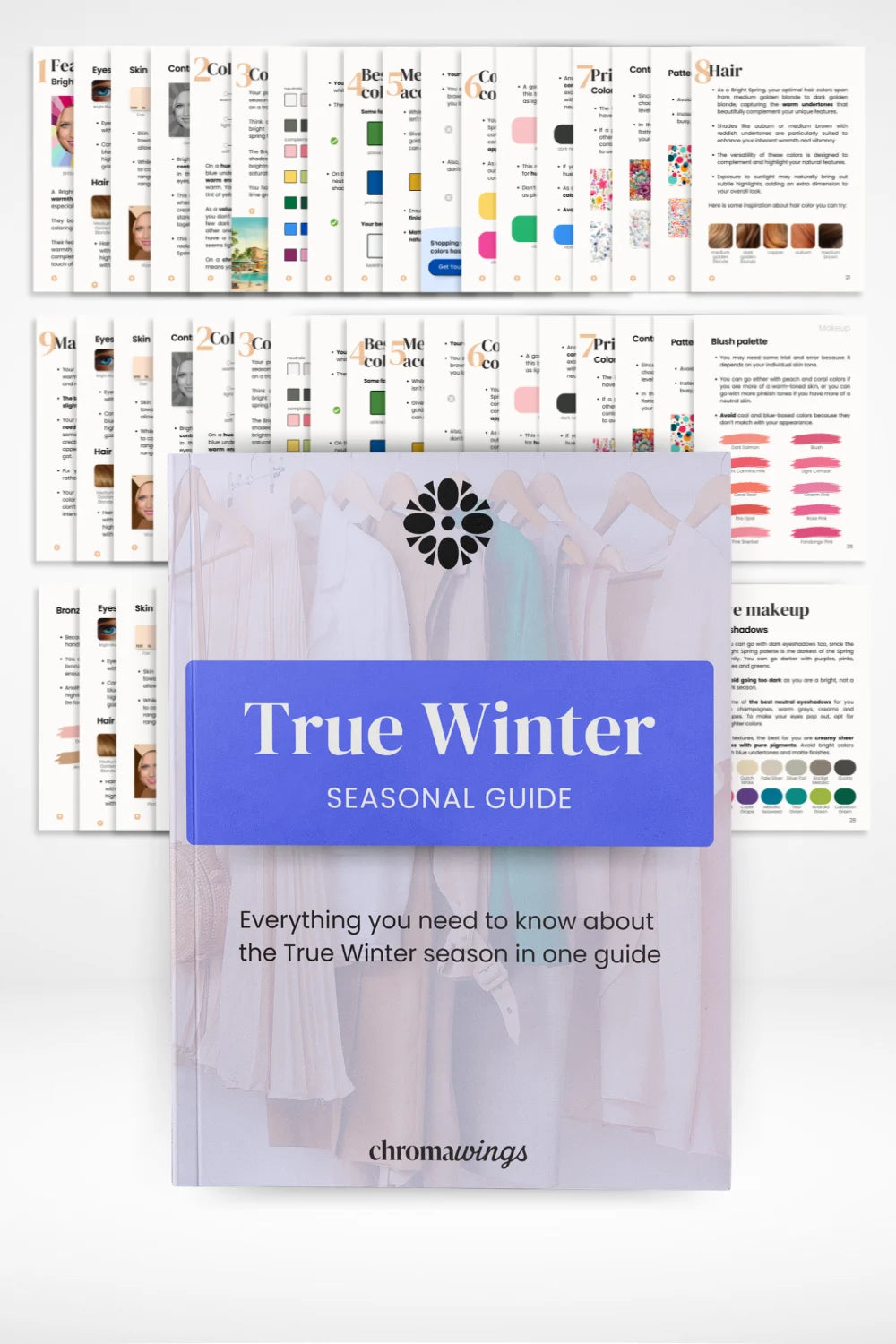 True Winter Guide