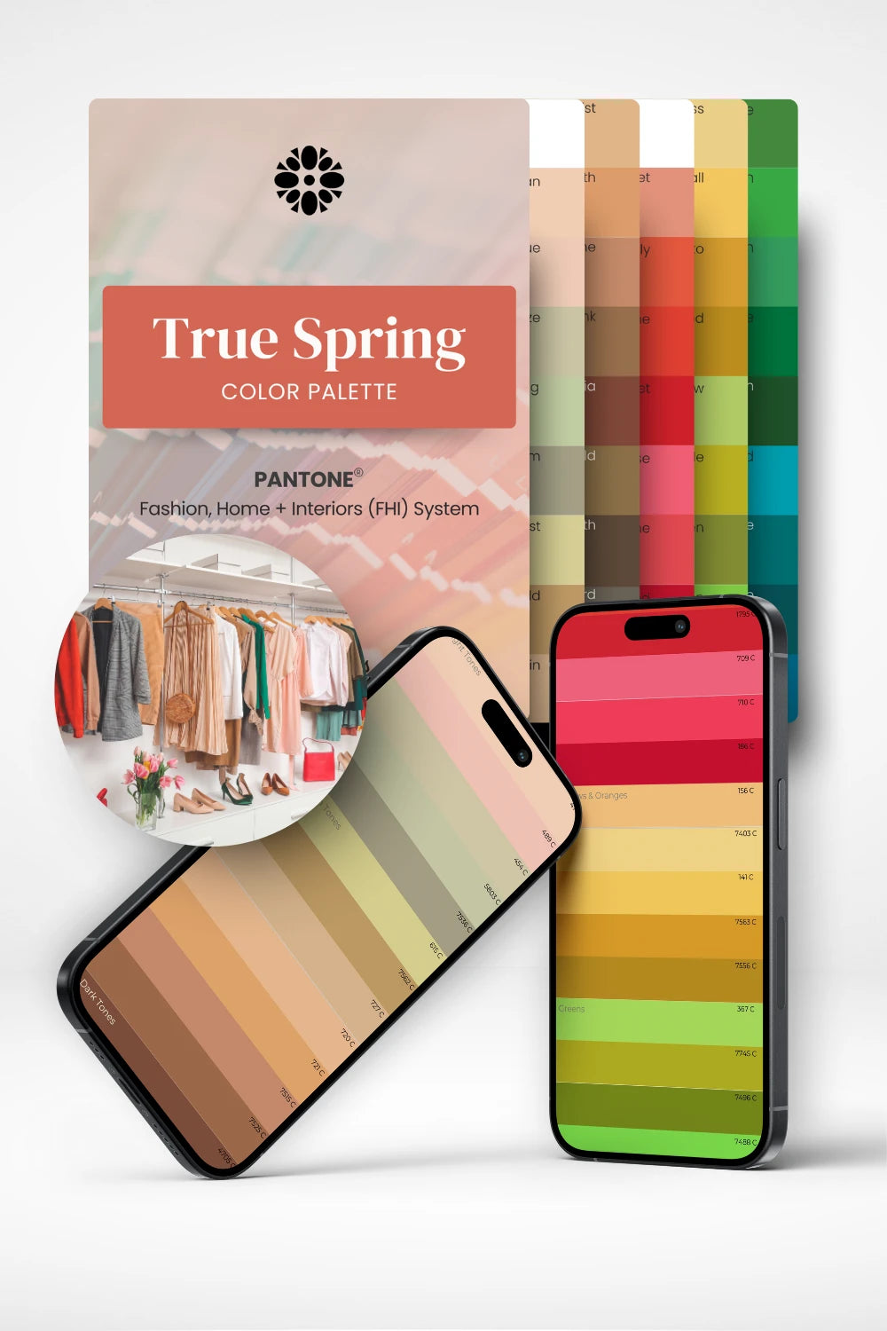 Spring Glory Color True Spring Color Swatch: Shop Your Colors – Chromawings