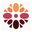 Chromawings logo