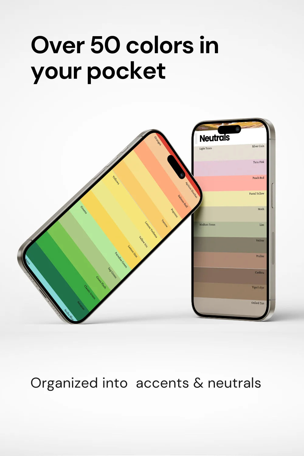 Light Spring Color Palette Displayed on Two Phones